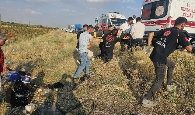 Şanlıurfa’da kazaya karışan tarım işçilerinden 18’i taburcu edildi