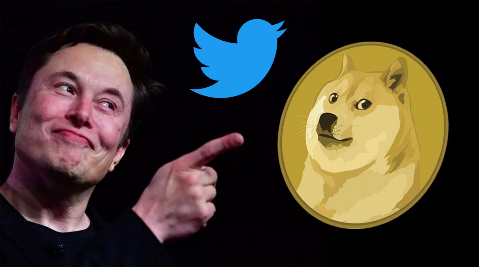 Elon Musk, Twitter’ın mavi kuş logosunu köpekle değiştirdi;