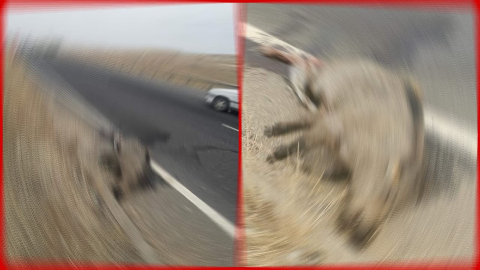 Urfa’da yola çıkan domuza araba çarptı