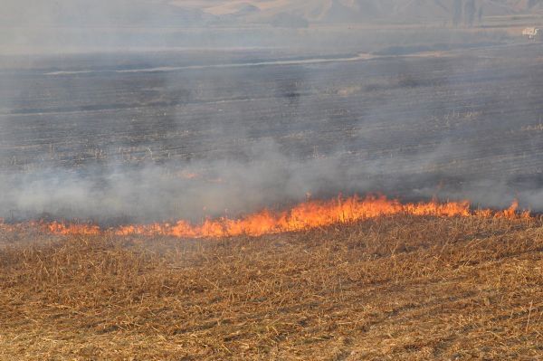 Urfa İtfaiyesi anız yakmanın tehlikelerine dikkat çekti;