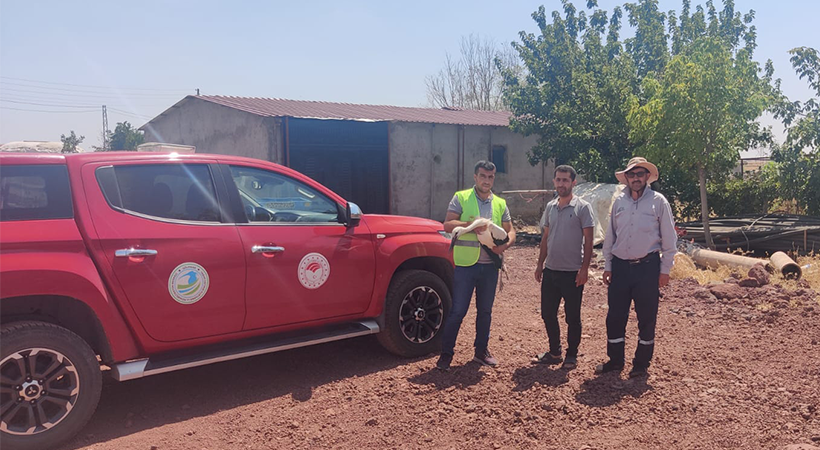 Urfa'da bitkin halde bulunan yavru leylek tedaviye alındı;