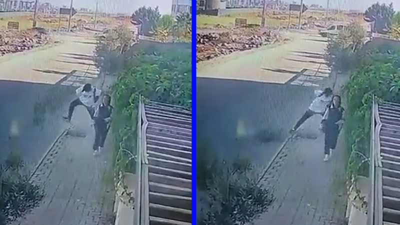 Kaldırımdaki ağacı sebepsiz yere kırdı