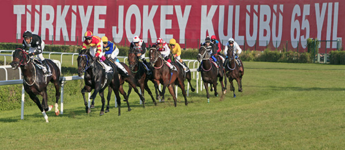TJK seyisbaşı çalıştırıcı projesini hayata geçirdi