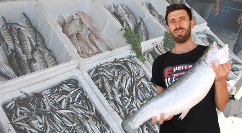 Urfa’da balıklar tezgahları süslemeye başladı;