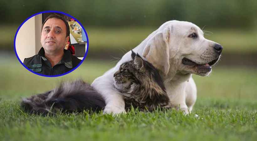 Şanlıurfa’da  kaç kedi köpeğe çip takıldı?