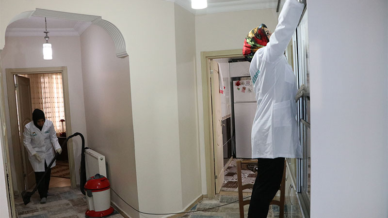 Haliliye'de 576 ulu çınarın evi temizleniyor