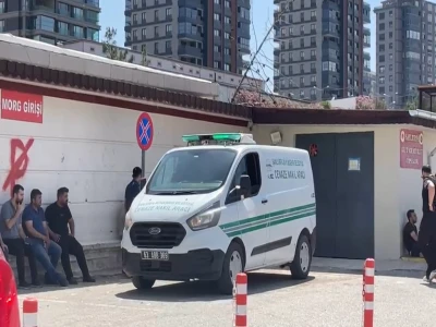 Şanlıurfa'da yaralı kartal tedaviye alındı