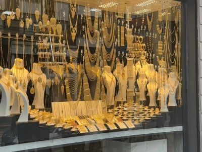 Şanlıurfa'da yaralı kartal tedaviye alındı