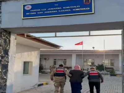 Şanlıurfa'da yaralı kartal tedaviye alındı