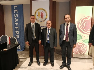 Şanlıurfa'da yaralı kartal tedaviye alındı