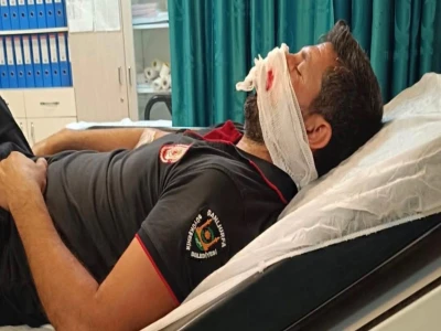 Şanlıurfa'da yaralı kartal tedaviye alındı