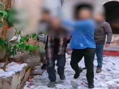 Şanlıurfa'da yaralı kartal tedaviye alındı