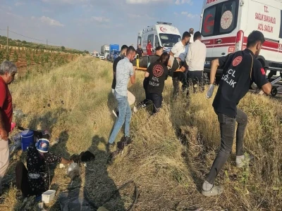 Şanlıurfa'da yaralı kartal tedaviye alındı
