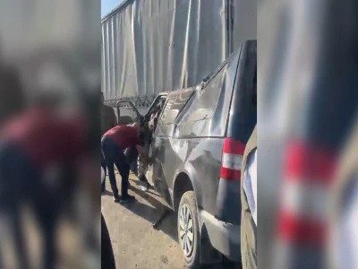 Şanlıurfa'da yaralı kartal tedaviye alındı