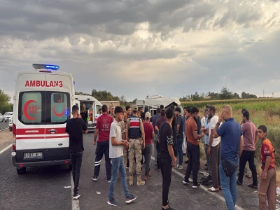 Şanlıurfa'da yaralı kartal tedaviye alındı