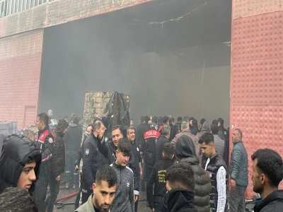 Şanlıurfa'da yaralı kartal tedaviye alındı