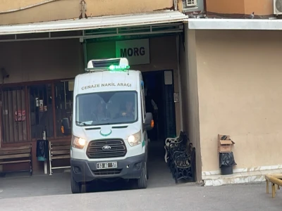 Şanlıurfa'da yaralı kartal tedaviye alındı