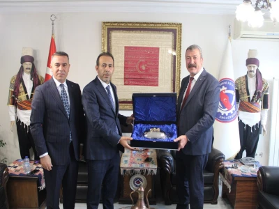 Şanlıurfa'da yaralı kartal tedaviye alındı