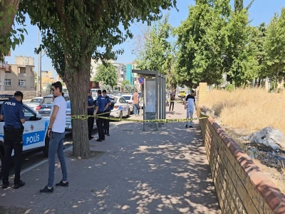 Şanlıurfa'da yaralı kartal tedaviye alındı