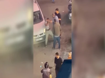 Şanlıurfa'da yaralı kartal tedaviye alındı