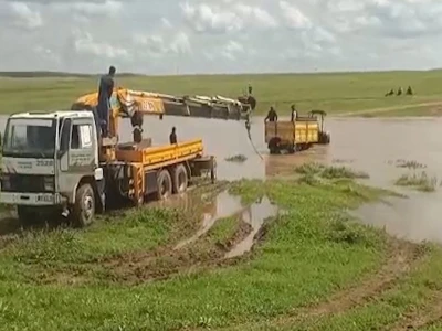 Şanlıurfa'da yaralı kartal tedaviye alındı