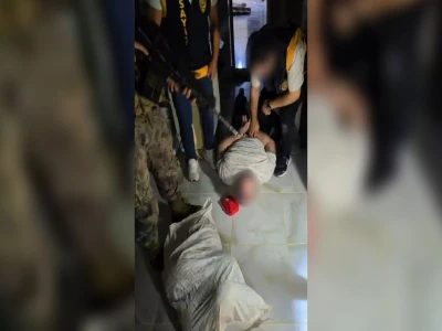 Şanlıurfa'da yaralı kartal tedaviye alındı