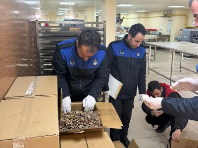 Şanlıurfa'da yaralı kartal tedaviye alındı