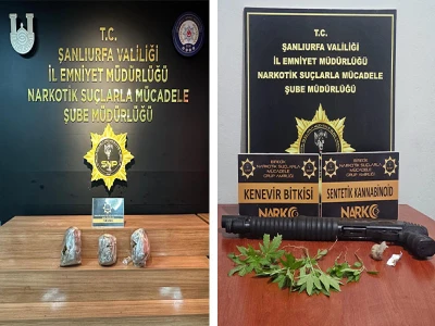 Şanlıurfa'da yaralı kartal tedaviye alındı