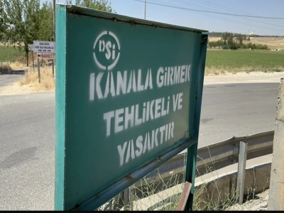 Şanlıurfa'da yaralı kartal tedaviye alındı
