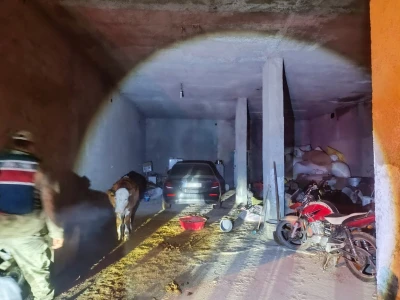 Şanlıurfa'da yaralı kartal tedaviye alındı