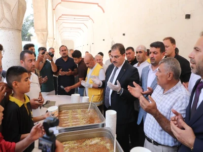 Şanlıurfa'da yaralı kartal tedaviye alındı