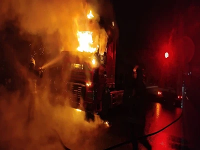 Şanlıurfa'da yaralı kartal tedaviye alındı