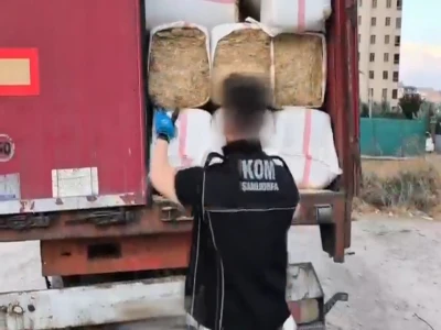 Şanlıurfa'da yaralı kartal tedaviye alındı